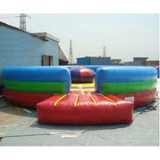 sport inflatable game